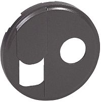 Лицевая панель Legrand Celiane для 2-м. розетки RJ45+TV графит картинка